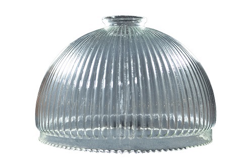 TULIPA CANELA         20 cm.  CRISTAL    4216